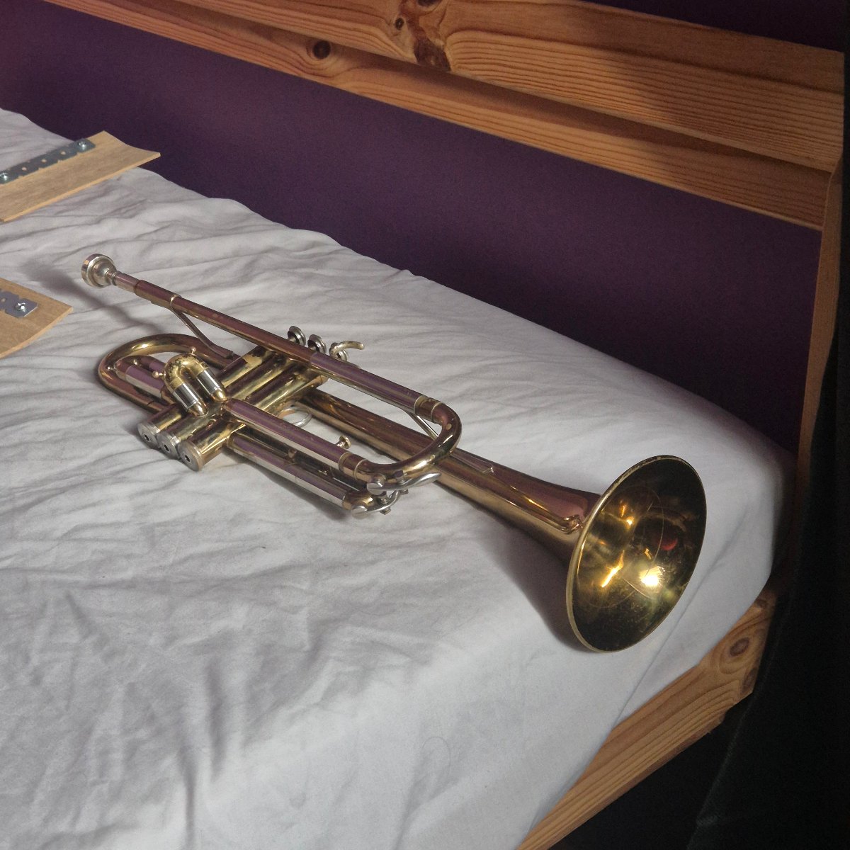 Brass Trumpet Musical Instrument