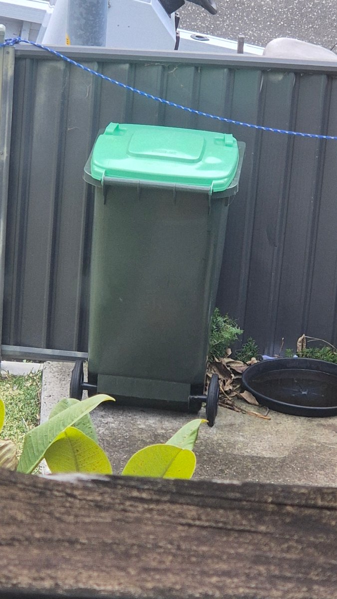 Green Wheelie Bin with Lid